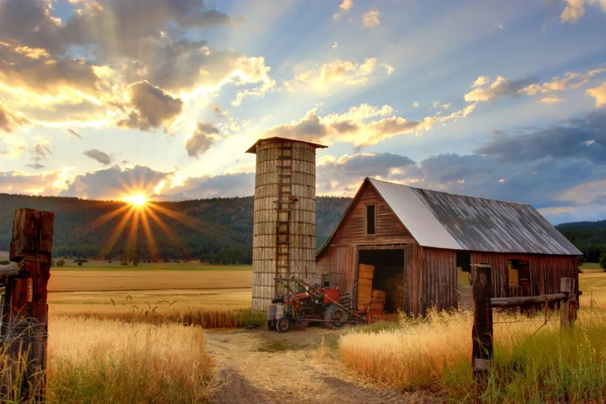 A barn at sunset in the Willamette Valley