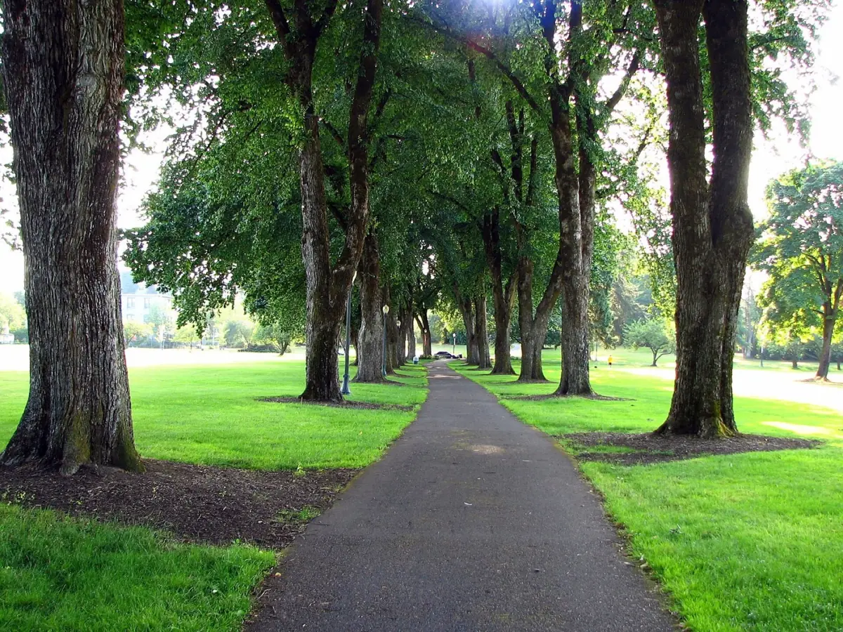 Oregon State University campus in Corvallis