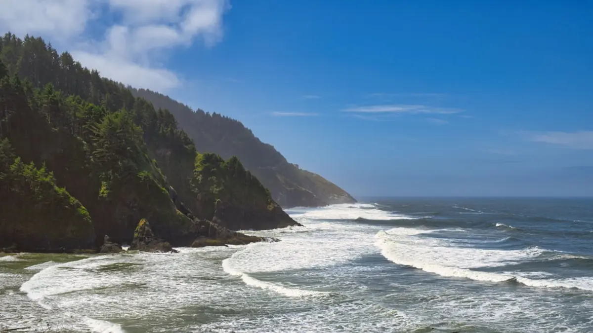 The Oregon coast in Lane County